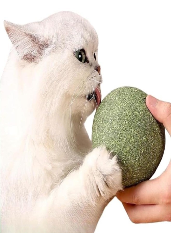 PET FUN Catnip Mint Ball Toy Combo | Natural Bean Catnip Treats for Teeth Cleaning, Chewing, and Licking | Fresh Breath & Playful Fun for Cats & Kittens - Image 2